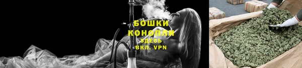 МДПВ Билибино